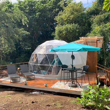Hotel Manta Soul Jungle Geodome Kealakekua Zewnętrze zdjęcie