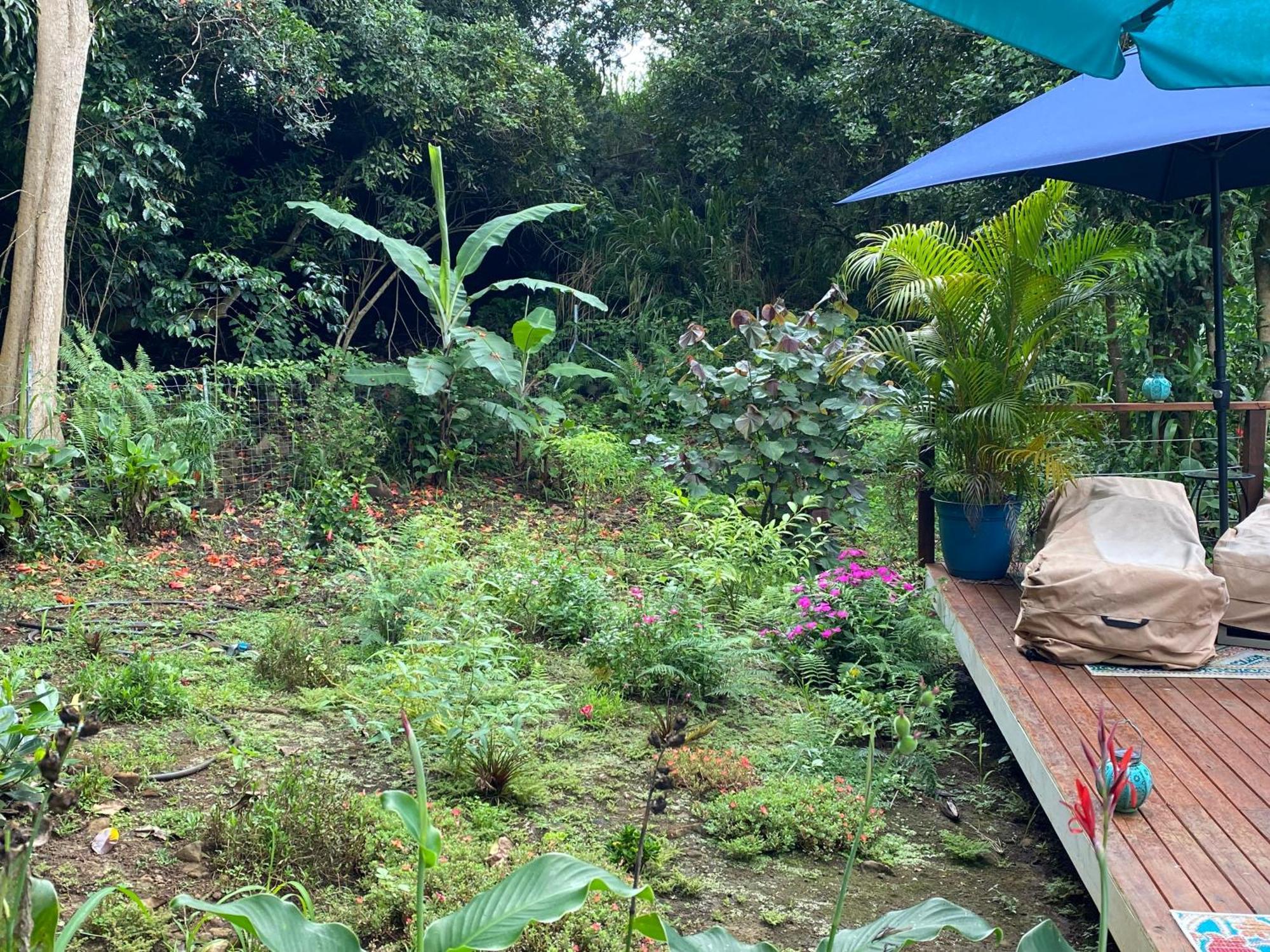 Hotel Manta Soul Jungle Geodome Kealakekua Zewnętrze zdjęcie