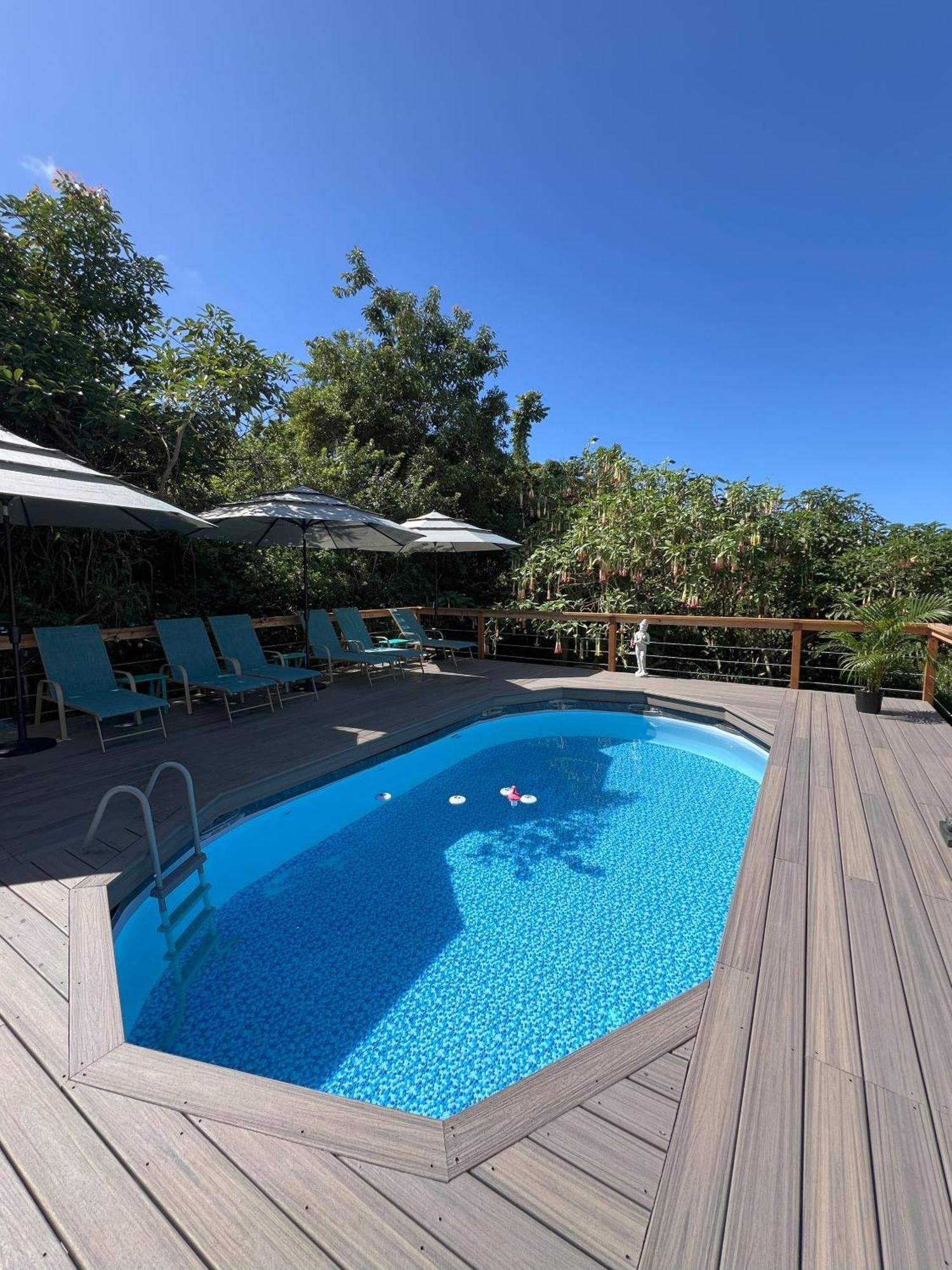Hotel Manta Soul Jungle Geodome Kealakekua Zewnętrze zdjęcie